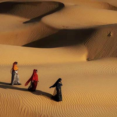 Tu Pian 20240222121751